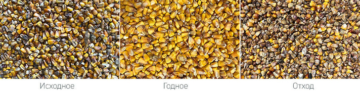 зерна кукурузы (иходное, годное, отход)