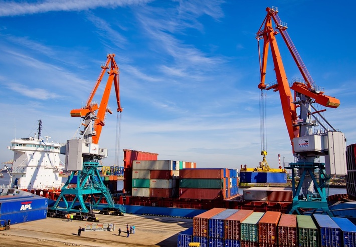 Портальные краны «Витязь» позволили увеличить интенсивность перевалки грузов на территории ООО «Морской рыбный порт»
