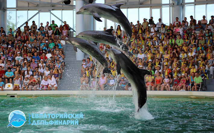 Самый большой дельфинарий в Крыму.