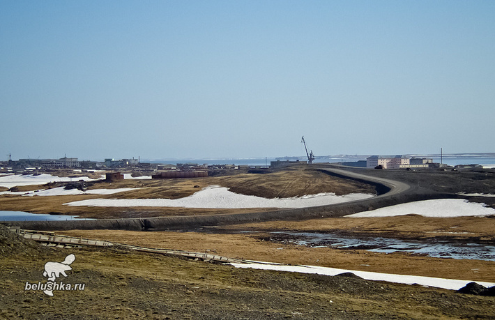 Белушья Губа находится примерно в 10 км от Рогачево