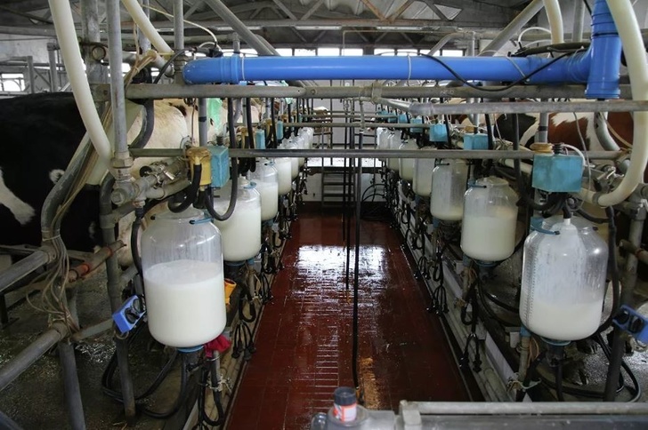 Молочный завод 
