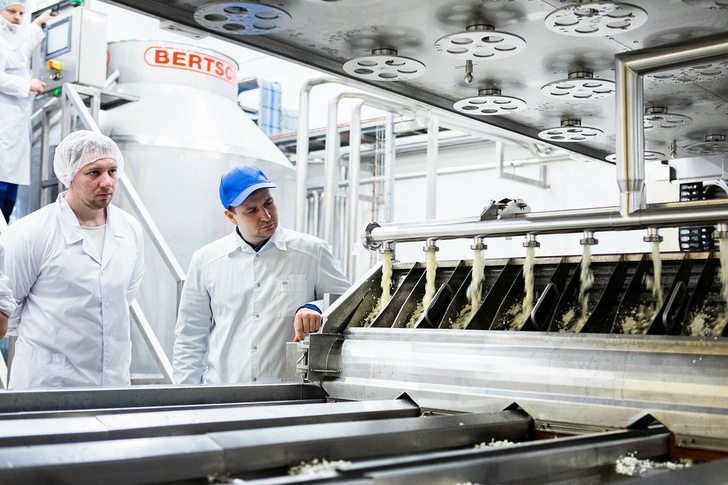 Завод по производству сыра запущен в Воронежской области
