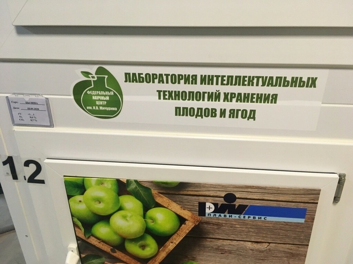В Тамбовской области открыли лабораторию интеллектуальных технологий хранения плодов и ягод