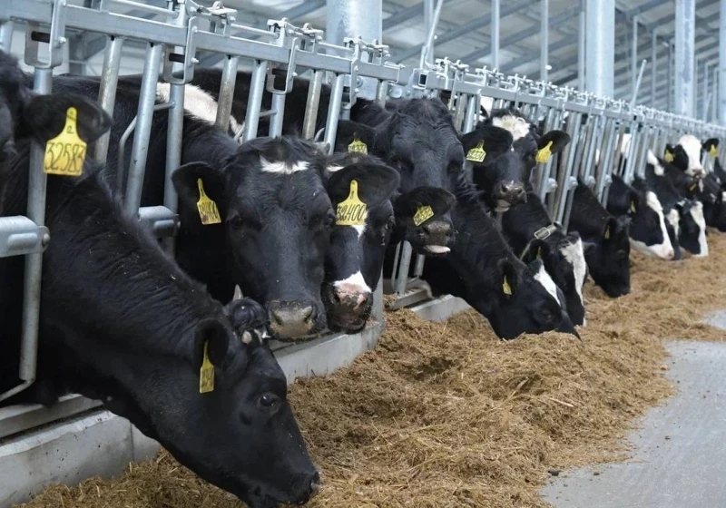 Фото #16 для новости «Новые предприятия АПК и пищевой промышленности в марте 2024 года»