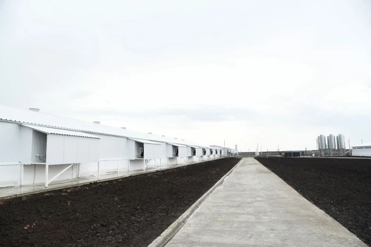 №6 для новости «Новые предприятия АПК и пищевой промышленности в июле августе 2023 года»