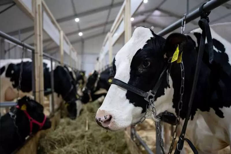 Изображение №4 для статьи «Новые предприятия АПК и пищевой промышленности в январе марте 2026 года»