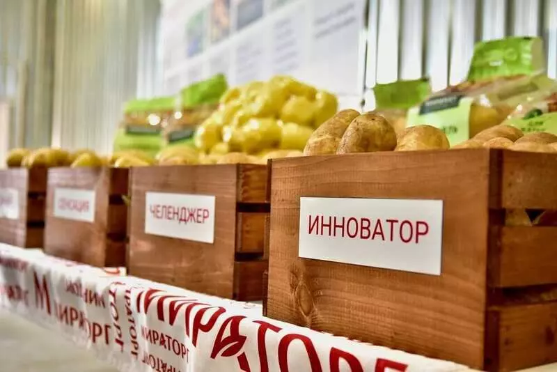 Картинка 19 для публикации «Новые предприятия АПК и пищевой промышленности в сентябре 2025 года»