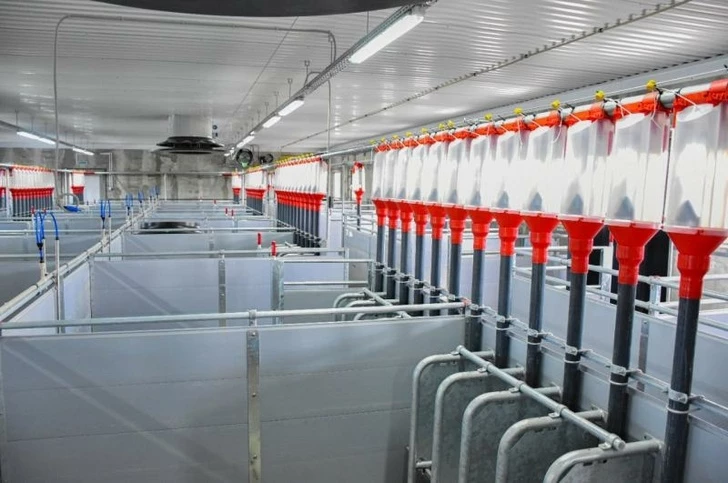 Фото #2 для поста «обзор: Новые предприятия АПК и пищевой промышленности в июне 2023 года»