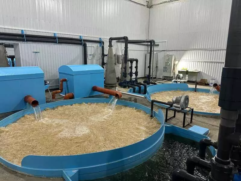 Картинка №16 для «Новые предприятия АПК и пищевой промышленности в сентябре 2025 года»