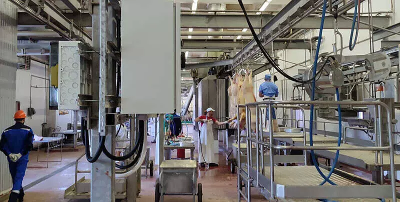 13 для «Новые предприятия АПК и пищевой промышленности в сентябре 2025 года»