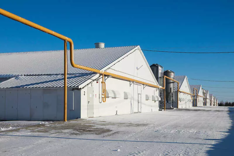 Картинка #6 для статьи «Новые предприятия АПК и пищевой промышленности в декабре 2025 года»