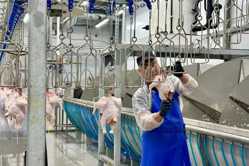 Иллюстрация #3 для «обзор: Новые предприятия АПК и пищевой промышленности в сентябре 2025 года»