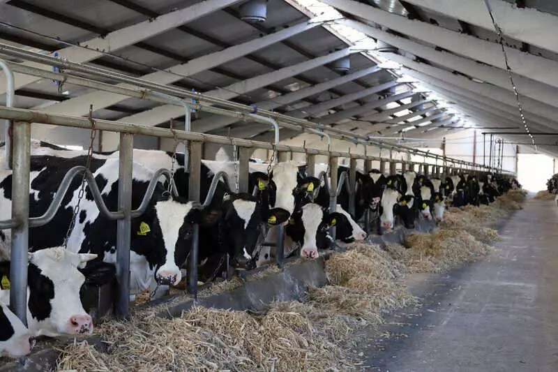 Иллюстрация №3 для новости «обзор: Новые предприятия АПК и пищевой промышленности в декабре 2025 года»