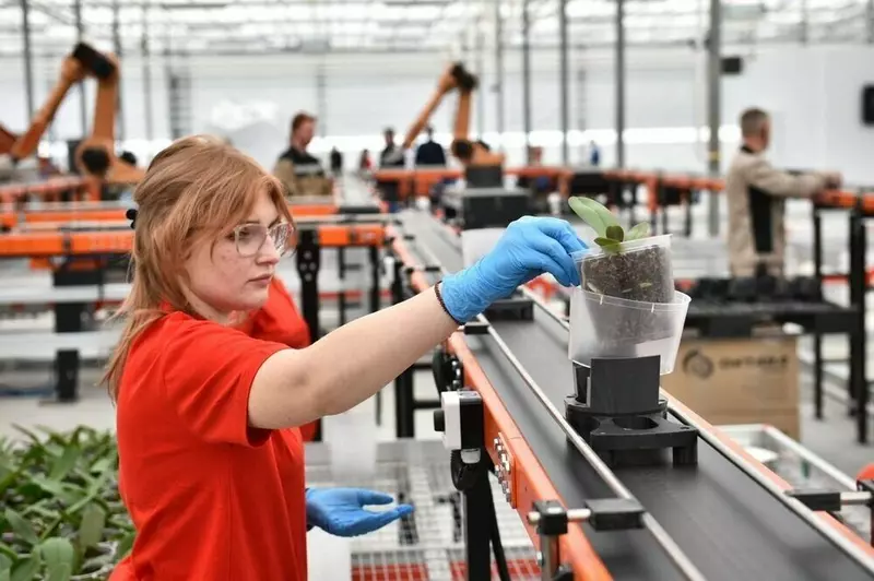 23 для «Обзор В апреле 2025 года в России были открыты 24 новых производства»