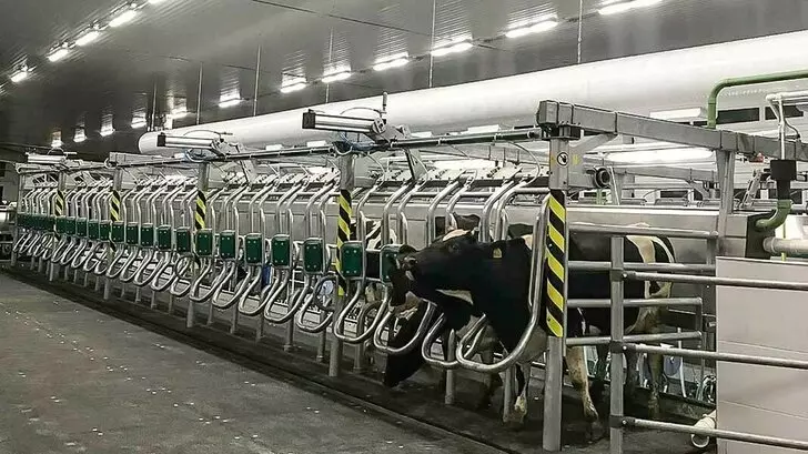 Изображение 10 для публикации «Новые предприятия АПК и пищевой промышленности в декабре 2022 года»