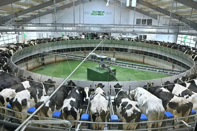 Иллюстрация №15 для новости «Новые предприятия АПК и пищевой промышленности в июле августе 2025 года»