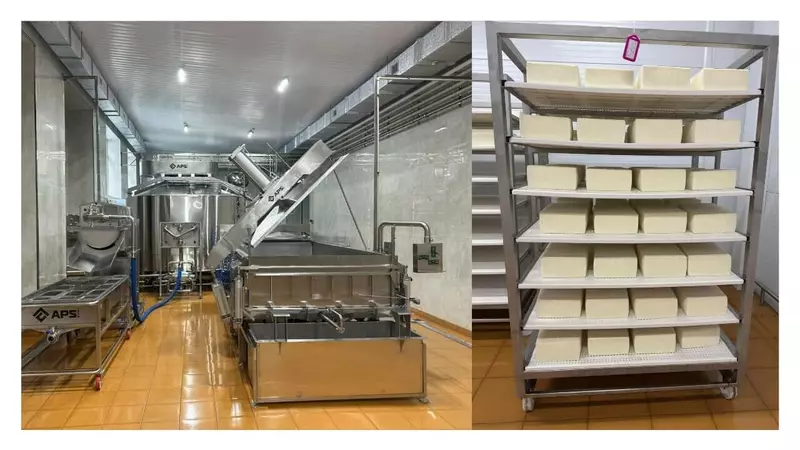 Иллюстрация 3 для публикации «обзор: Новые предприятия АПК и пищевой промышленности в июле августе 2025 года»