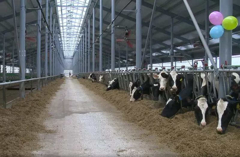 Иллюстрация #2 для «новые и модернизированные предприятия АПК: Новые предприятия АПК и пищевой промышленности в ноябре 2024 года»