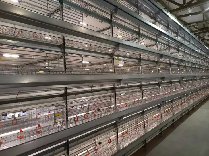 Фото 3 для статьи «новые предприятия АПК: Новые предприятия АПК и пищевой промышленности в январе 2023 года»