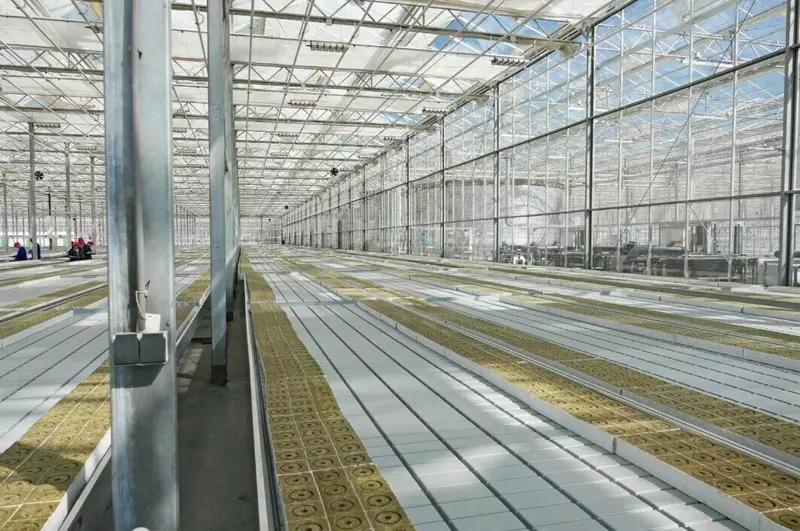 #9 для публикации «Новые предприятия АПК и пищевой промышленности в июле августе 2025 года»