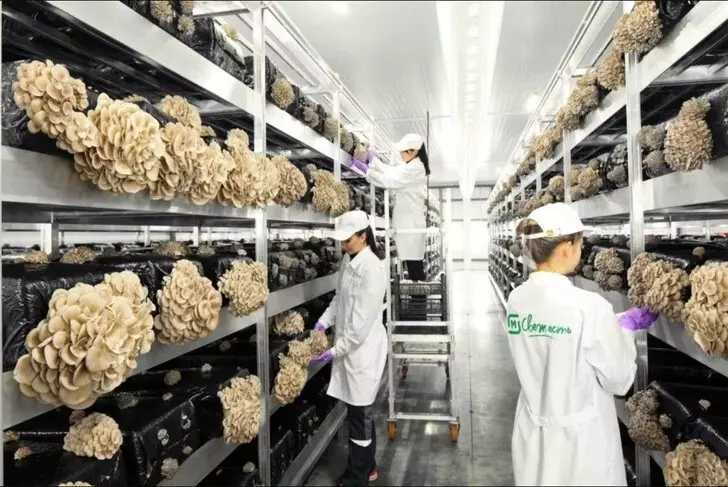 Фото 9 для публикации «Новые предприятия АПК и пищевой промышленности в декабре 2022 года»