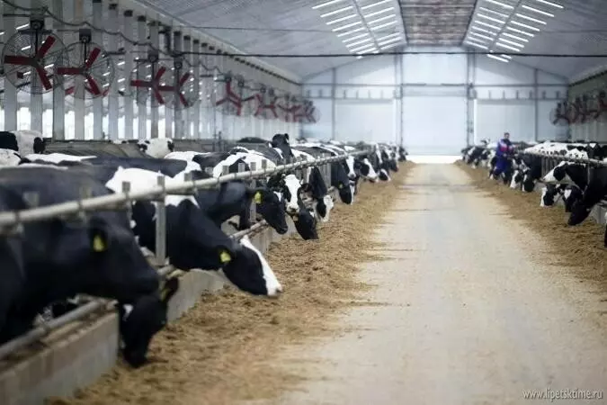 Изображение #7 для публикации «Новые предприятия АПК и пищевой промышленности в сентябре 2022 года»