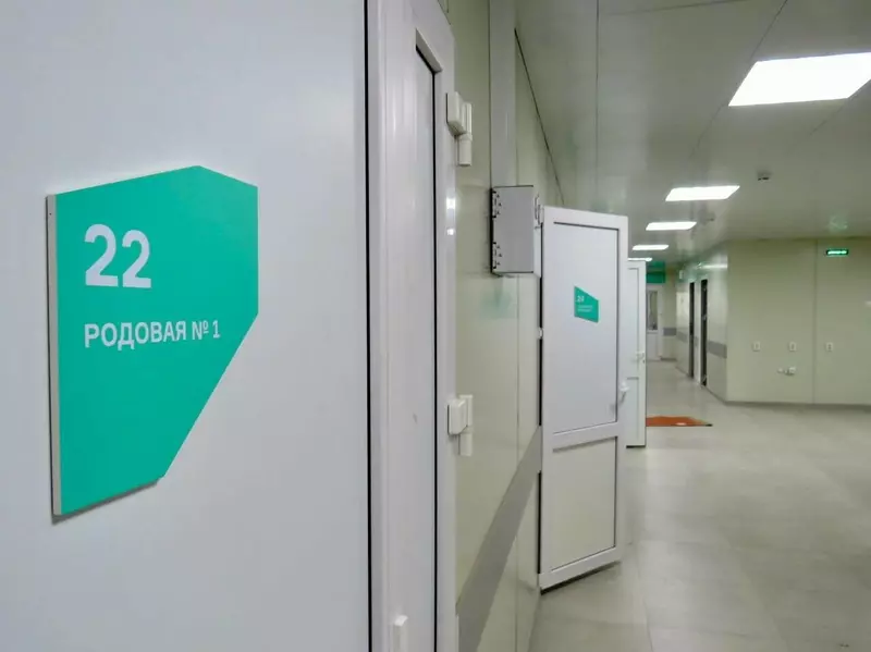 Фото 2 для статьи «Обзор: Обзор В апреле 2025 года в России были открыты и реконструированы 15 медучреждений»