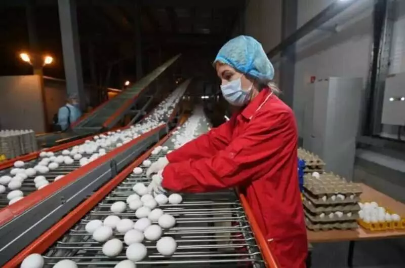 Изображение 8 для статьи «Новые предприятия АПК и пищевой промышленности в сентябре 2025 года»