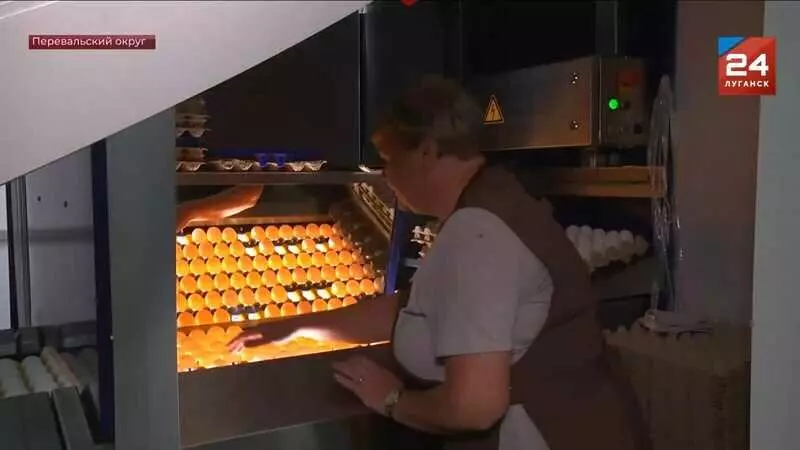 Картинка №11 для поста «Новые предприятия АПК и пищевой промышленности в сентябре 2025 года»