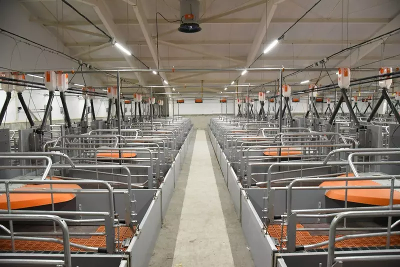 Фото 5 для публикации «Новые предприятия АПК и пищевой промышленности в июле августе 2025 года»