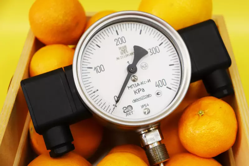 В российской промышленности появился свой чебурашка инновационный томский манометр