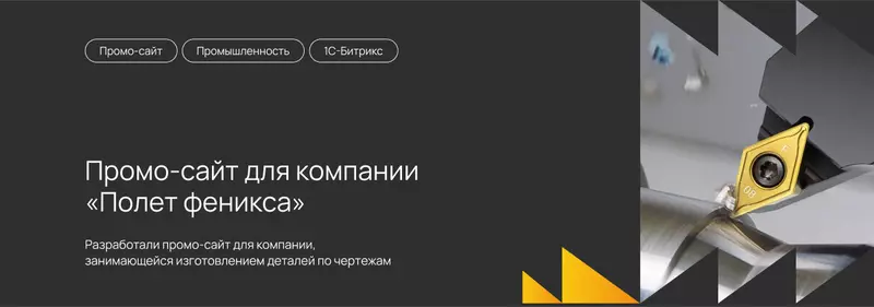 Промо сайт для компании Полет феникса