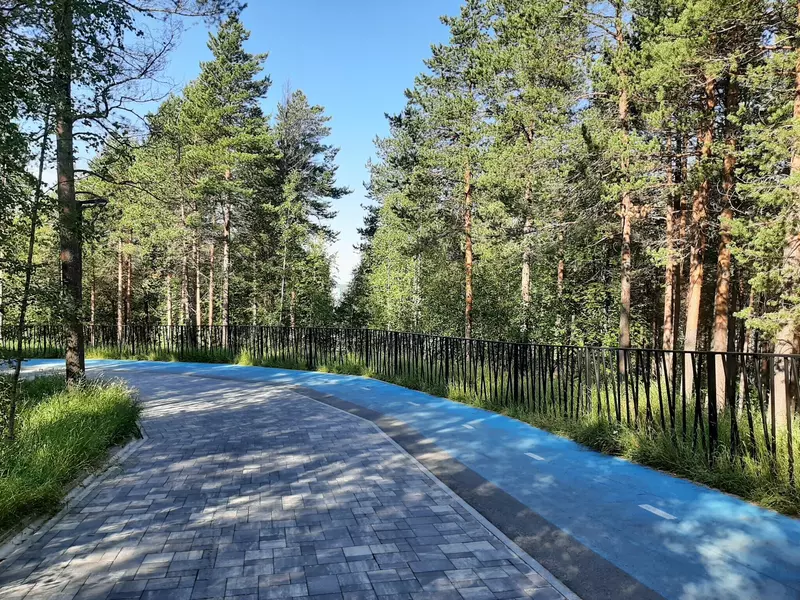 В "Ноябрьск-парке" (фото автора)