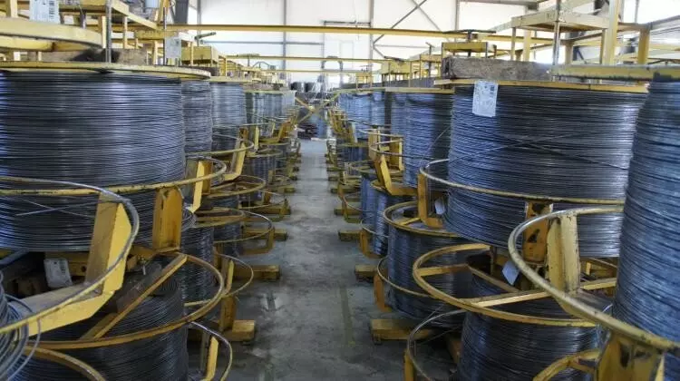 Фото 20 для статьи «Тюменское импортозамещение часть 17»