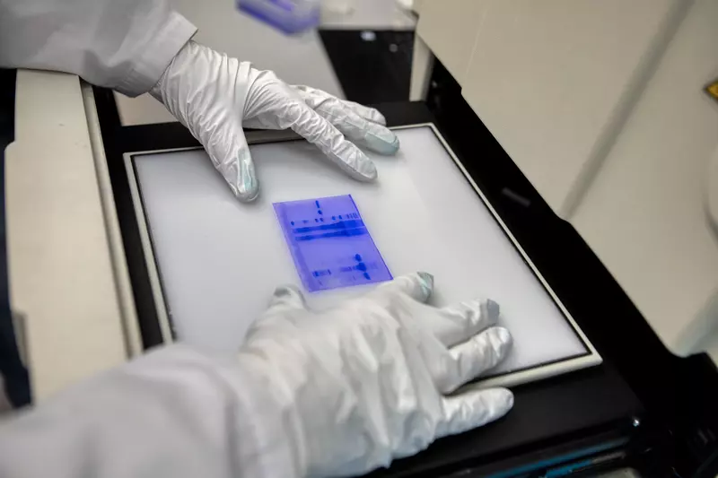 Картинка #6 для «СПбНИИВС ФМБА 84 года на страже здоровья россиян»