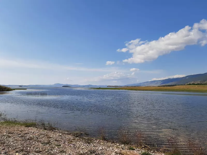 №52 для «День Байкала»