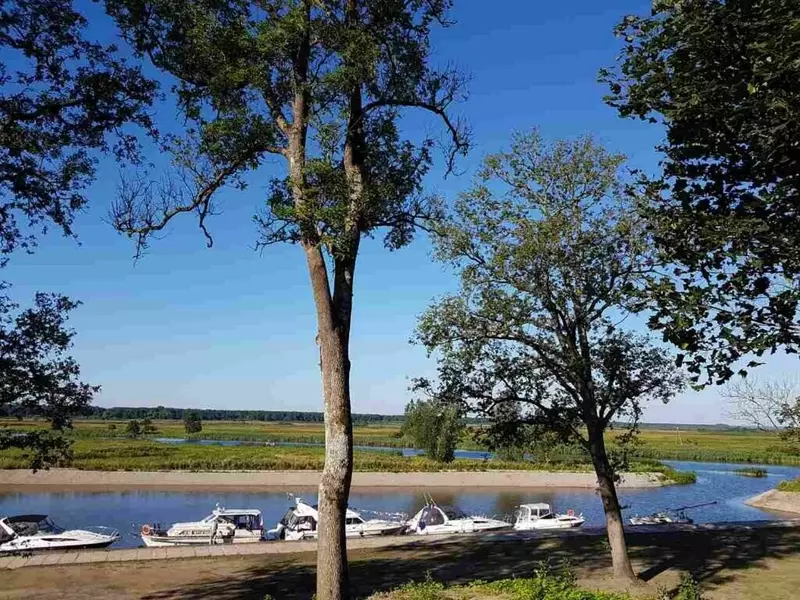 Картинка #11 для «7 российских отелей в замках старинных усадьбах и особняках»