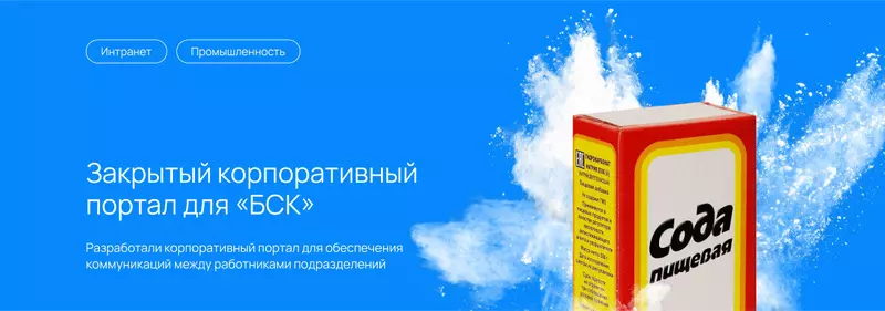Закрытый корпоративный портал для БСК