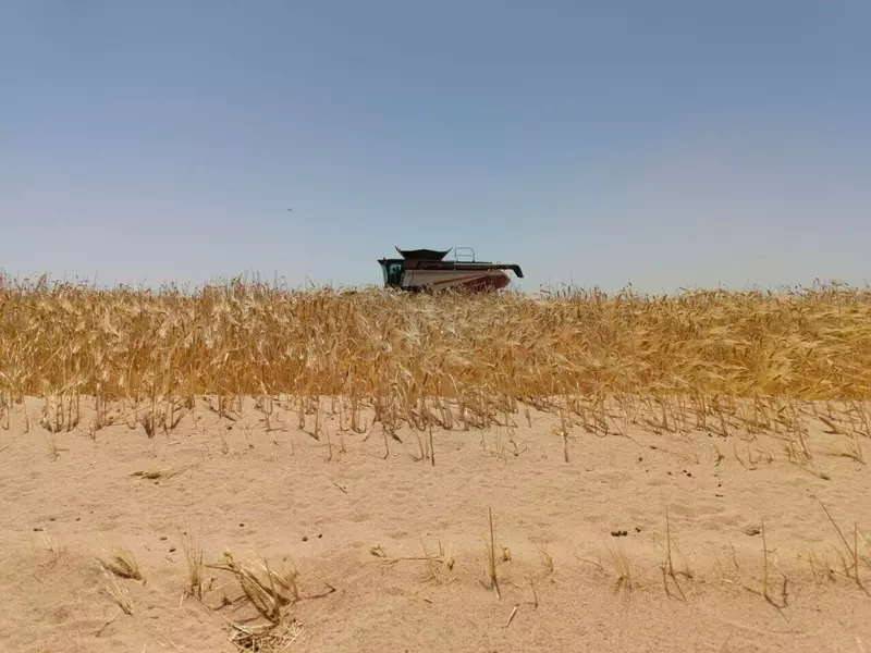 Изображение 4 для поста «Русские комбайны в Ливии»