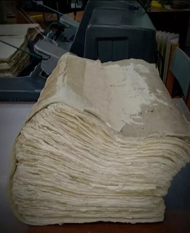 Иллюстрация №3 для «сканер: На ЭларСкан оцифровывают дворянские дела и ревизские сказки Пензенской губернии»