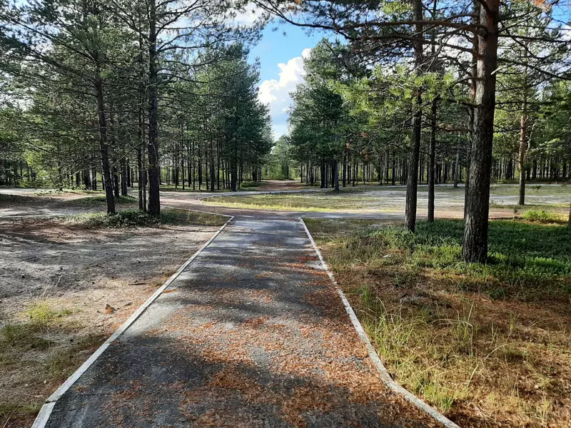 Парк "Место рождения" (фото автора)