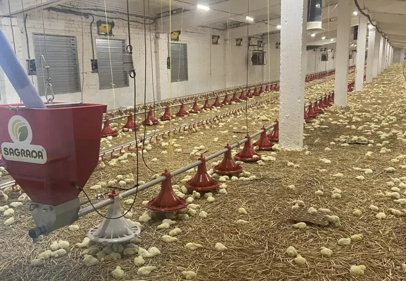 Птицефабрика в Астраханской области возобновила работу после многолетнего простоя