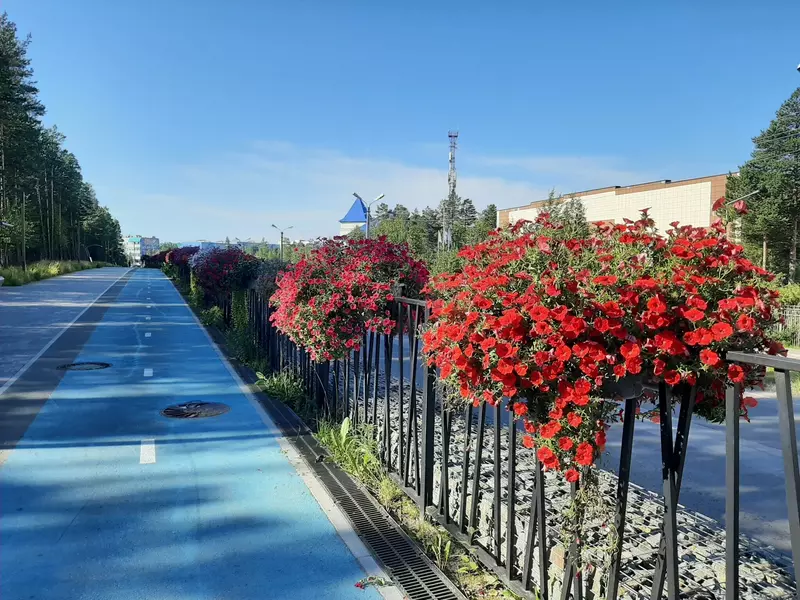 Ноябрьск-50 (фото автора)