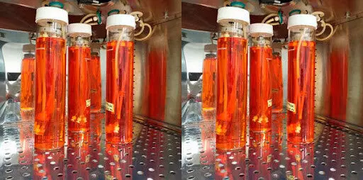 Фото №3 для новости «перспективные разработки: Главные достижения российской медицины последних лет»