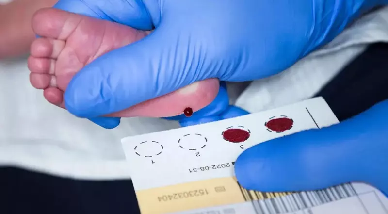 Картинка №1 для поста «Информационные технологии: В Красноярском крае контролем сроков неонатального скрининга занимается информационная система»