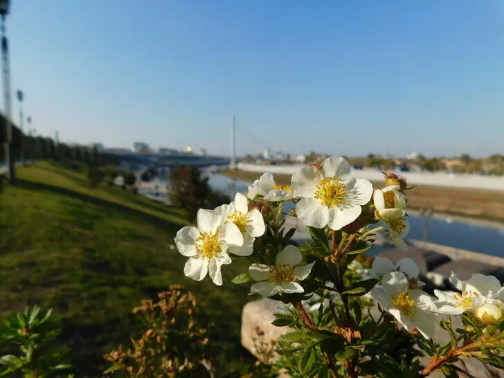 Изображение #17 для статьи «Развитие Сибири часть 3»