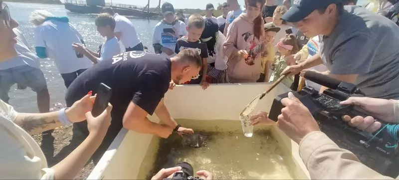 В Ангару выпустили 20 тысяч мальков сазана