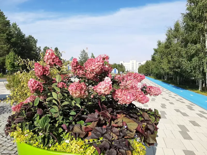 Аллея-бульвар (фото автора)