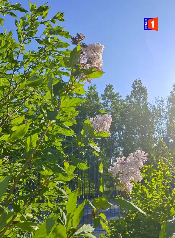Ноябрьск