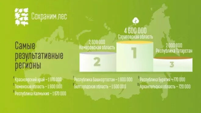 В Саратовской области высадили 4 6 млн деревьев